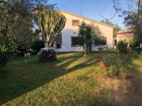 Olive tree villa, Augusta
